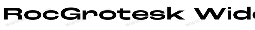 RocGrotesk WideBold字体转换